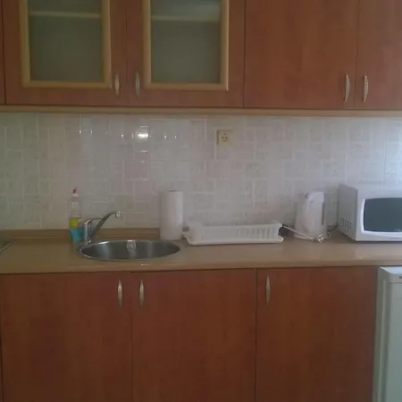 Gal In Elit 1 * Slăntjev Brjag